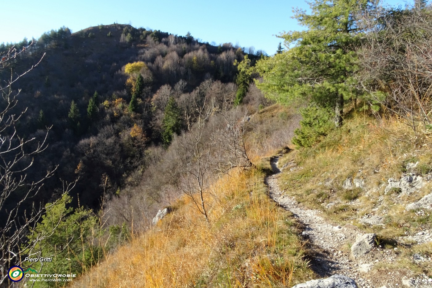 88 Scendo e mi ritrovo sul 597.JPG